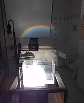 Regenbogen im Klassenzimmer (2).jpg